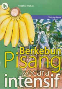 Image of Berkebun pisang secra intensif